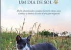 Cinzento, Um Dia de Sol, de Mauro Pereira-Silva, Um Gato Abandonado.