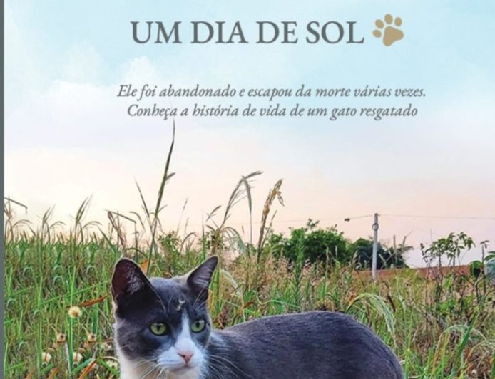 Cinzento, Um Dia de Sol, de Mauro Pereira-Silva, Um Gato Abandonado.
