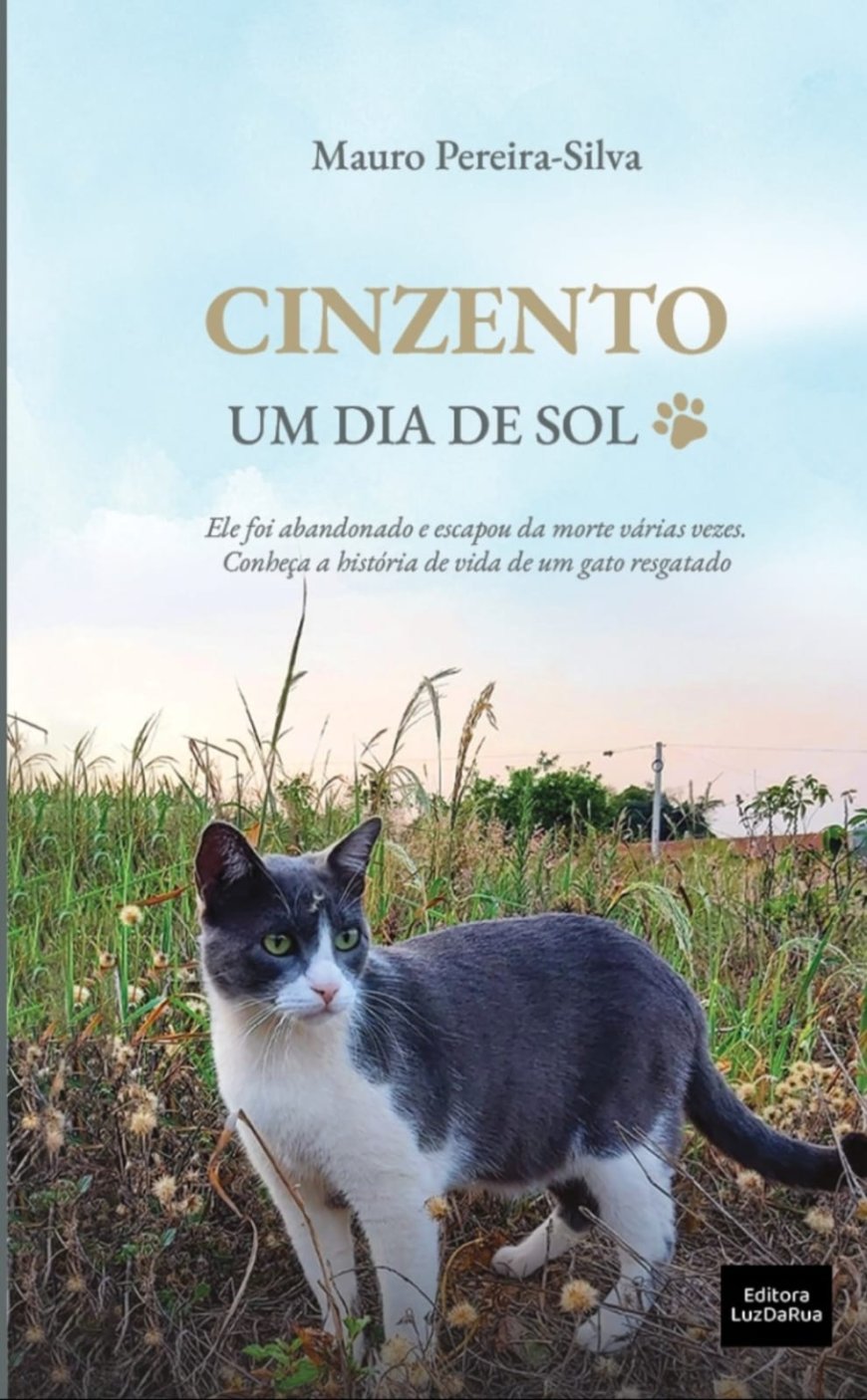 Cinzento, Um Dia de Sol, de Mauro Pereira-Silva, Um Gato Abandonado.