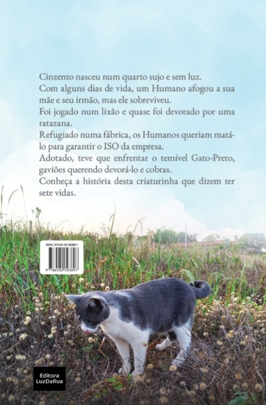 Cinzento, Um Dia de Sol, de Mauro Pereira-Silva, Um Gato Abandonado.