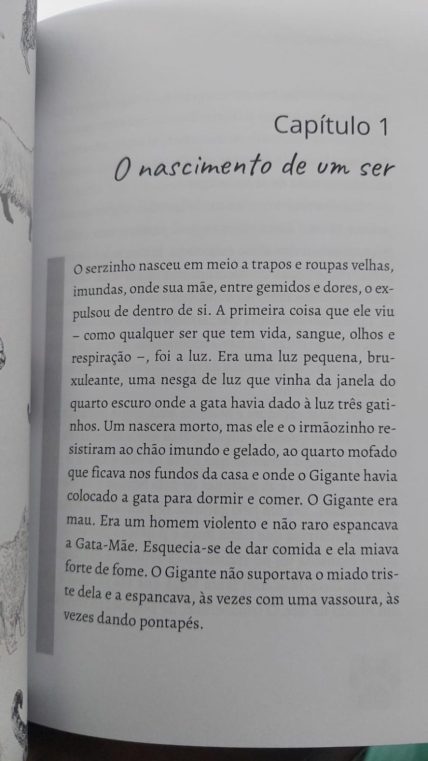 Cinzento, Um Dia de Sol, de Mauro Pereira-Silva, Um Gato Abandonado.